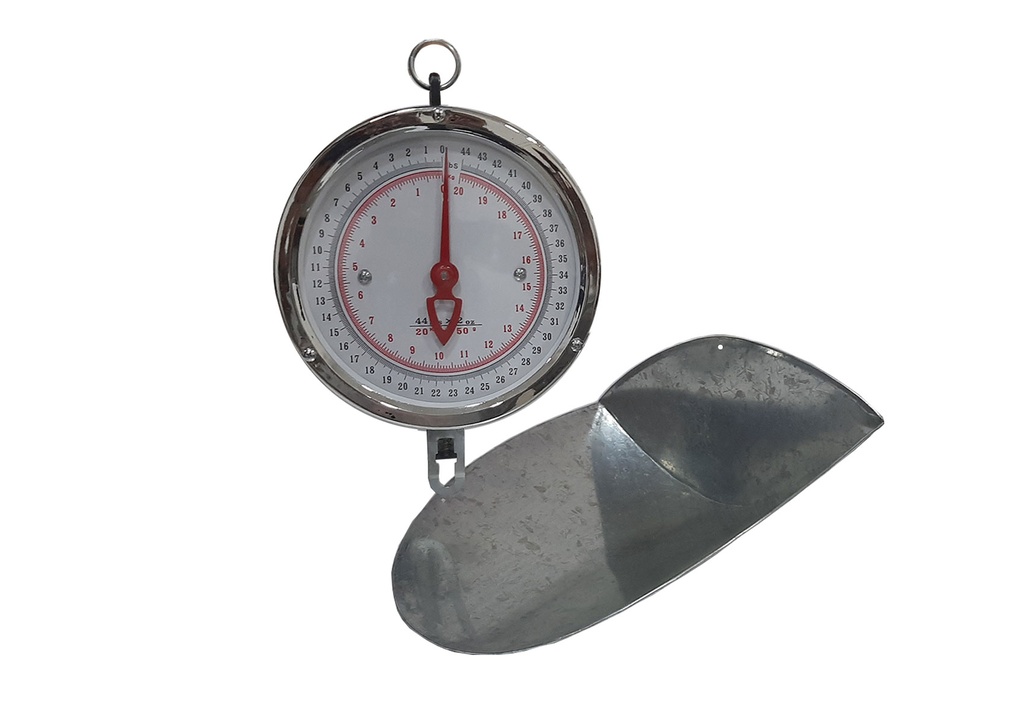 PESO P/COLGAR CON PLATO METAL 20KG PH-G-PC9 4-095