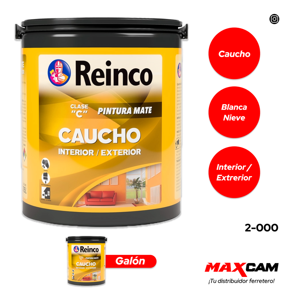 PINTURA BLANCA NIEVE x GALON TIPO C REINCO 2-000