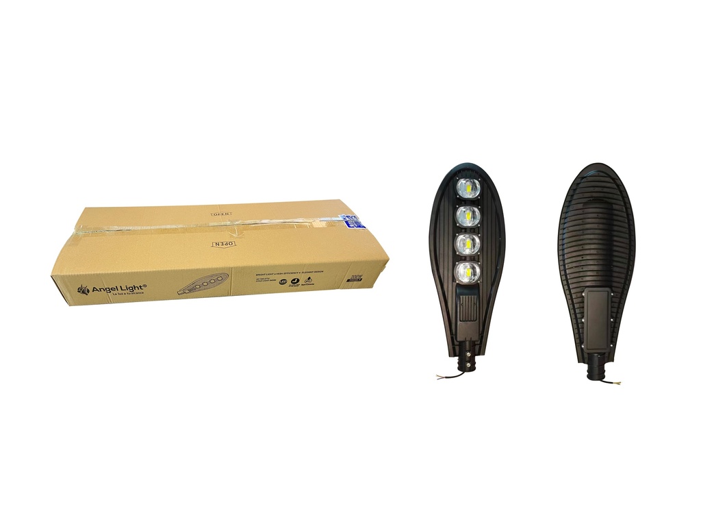 [6-696] LAMPARA EXTERIOR LED 200W ANGEL LIGHT 6-696 (DESC) 
