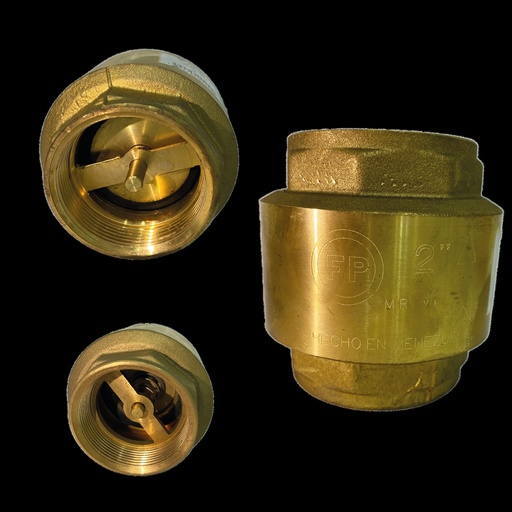 [0-583] VALVULA CHECK x 2" FP 01K120 0-583
