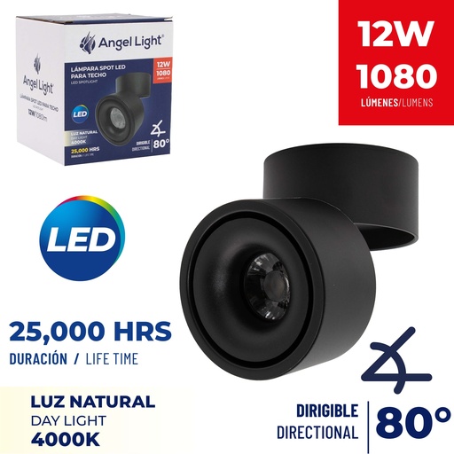 [8-679] LAMPARA NEGRA P/TECHO 12W ANGEL LIGHT 8-679