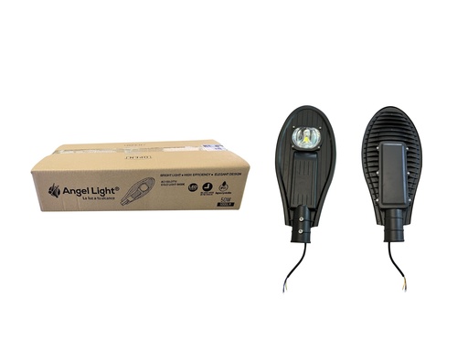 [6-693] LAMPARA EXTERIOR LED 50W ANGEL LIGHT 6-693