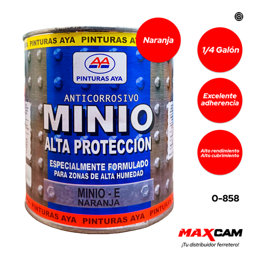 [0-858] FONDO MINIO x 1/4 AYA 0-858